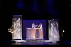 los bandos de verona pedro gato fotografia